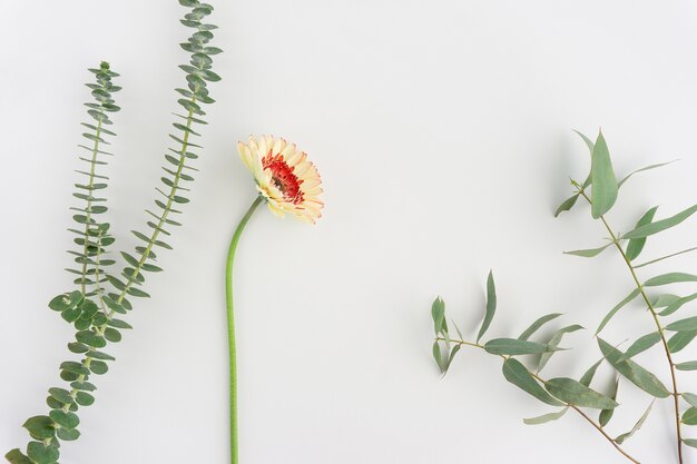 Floral Zusammensetzung mit netten Blumen