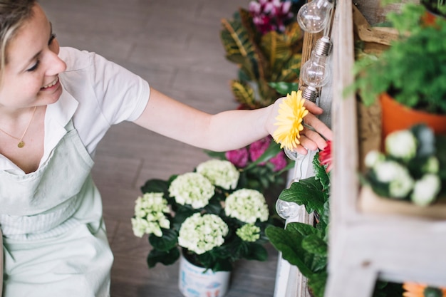 Florist, der Blumen auf Regal betrachtet