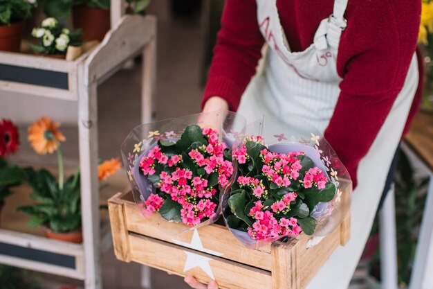 Florist, der Kasten Blumen hält