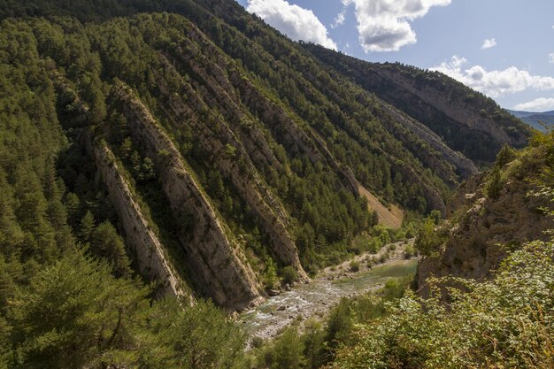 Fluss, der durch Berge fließt, die von dichter Vegetation bedeckt sind
