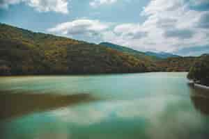 Kostenloses Foto fluss mit einem wald