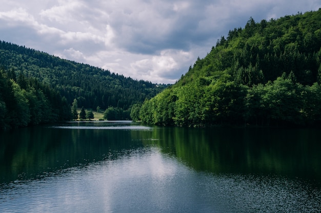 Fluss umgeben von Wäldern unter bewölktem Himmel in Thüringen in Deutschland - ideal für natürliche Konzepte