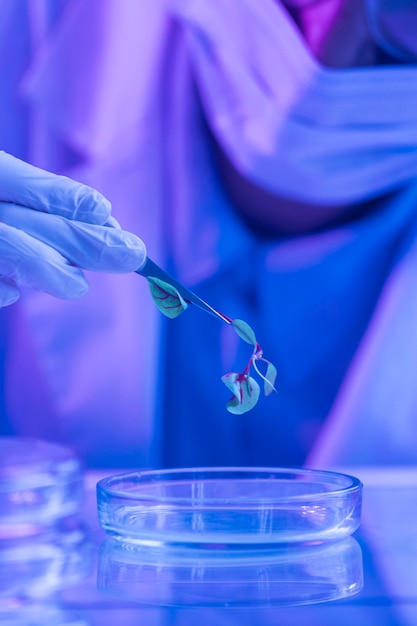 Forscher im Biotechnologielabor mit Petrischale und Pflanze