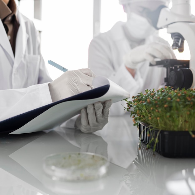 Kostenloses Foto forscher mit zwischenablage im biotechnologielabor