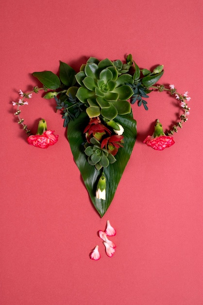Fortpflanzungssystem von oben mit Blumen