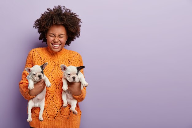 Foto der glücklichen afroamerikanischen Frau hält zwei Monate Welpen, gibt Menschen in rechten Händen, trägt warmen orange Pullover. Lockiges Mädchen mit ihren geliebten Rassehunden. Tierkommunikationskonzept