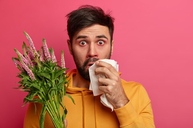 Foto des schockierten jungen Mannes, der gegen Frühlingsblumen oder -pflanzen allergisch ist, hat asthmatische Krankheit, Rötung um Nase, hält Taschentuch, isoliert auf rosa Wand. Gesundheitswesen, Heuschnupfen, Krankheitskonzept
