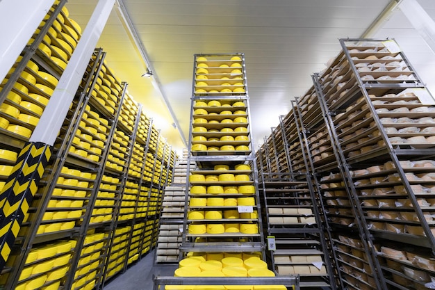 Foto einer Käserei in der Schweiz Typisch italienischer Käse Parmigiano Reggiano Tausende Formen von Parmigiano Reggiano in den größten Parmesankäse-Lagerformen der Käsereifung