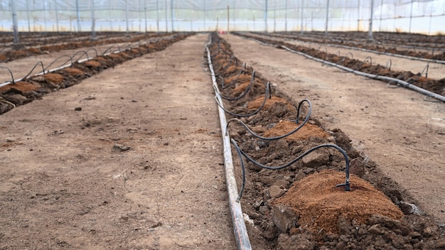 Foto eines leeren gewächshauses mit automatischer bewässerung zum pflanzen vorbereitet.