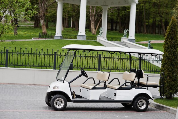 Foto eines winzigen Golfautos, das im Yard steht