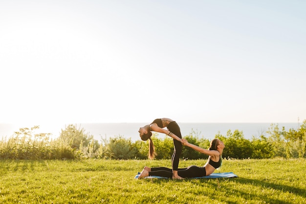 Foto von zwei jungen Damen in schwarzen, sportlichen Oberteilen und Leggings, die gemeinsam Yoga-Posen auf Gras trainieren. Junge Frauen, die draußen Yoga praktizieren