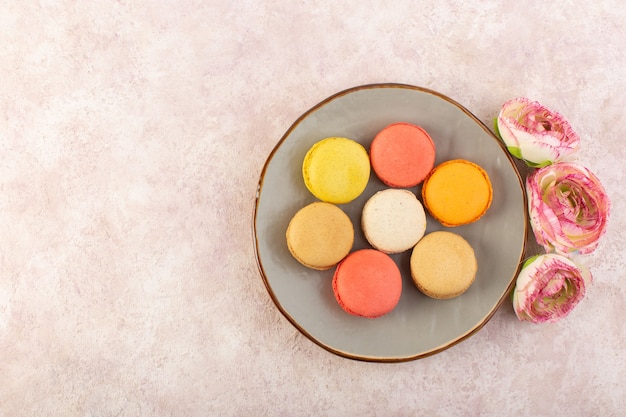 Französische macarons von oben mit rosen im teller auf der rosa tischkuchen-kekszuckerfarbe