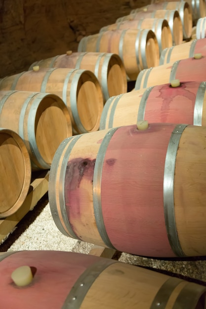 französisches Weingut mit Holzfässern