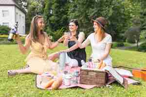 Kostenloses Foto frau, die auf dem grünen gras röstet weingläser am picknick sitzt