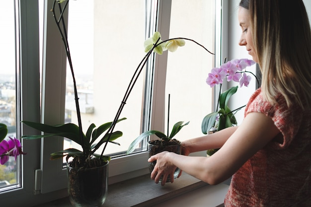 Frau, die Blumen im Haus arrangiert