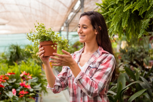 Frau, die Blumentopf im Gewächshaus betrachtet