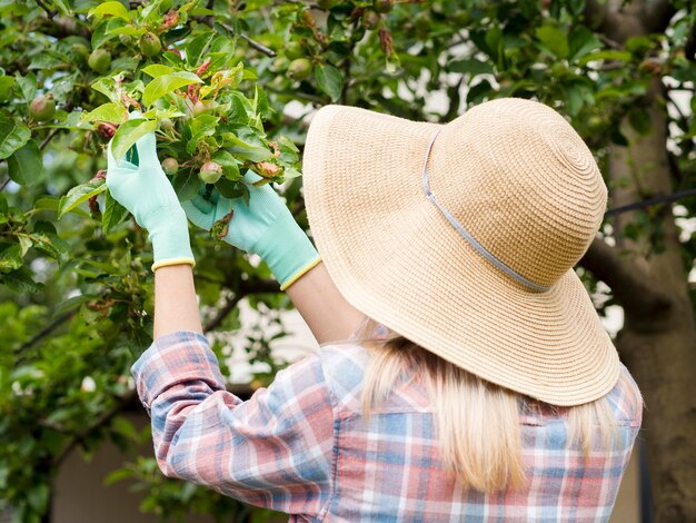 Frau, die einige Pflanzen in ihrem Garten betrachtet