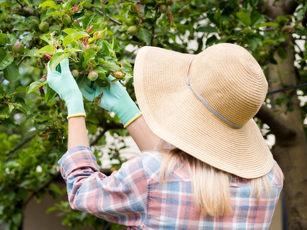 Frau, die einige Pflanzen in ihrem Garten betrachtet