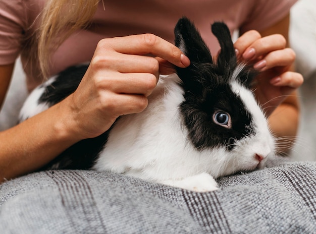 Kostenloses Foto frau, die entzückendes kaninchen streichelt