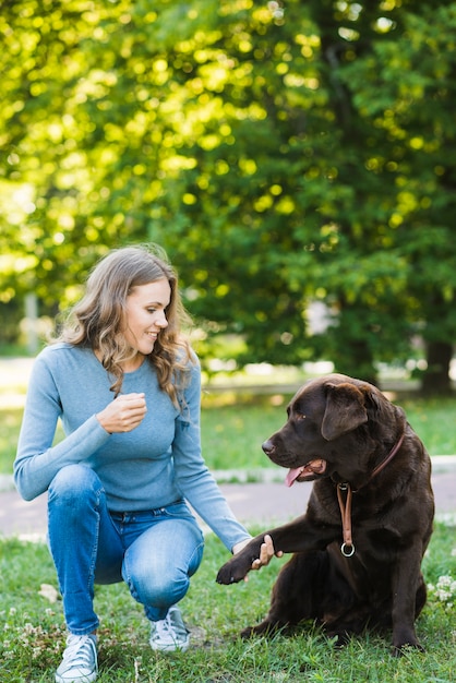 Frau, die ihren Hund sitzt auf Gras im Garten betrachtet