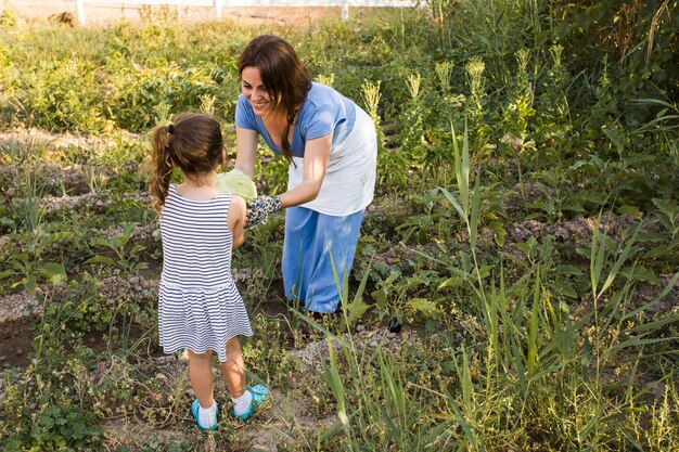 Frau, die ihren Tochterkohl im Gemüsegarten gibt