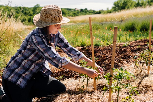 Frau, die im Garten knit und steckt