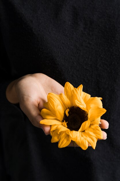 Frau, die in der Hand helle gelbe Blume hält