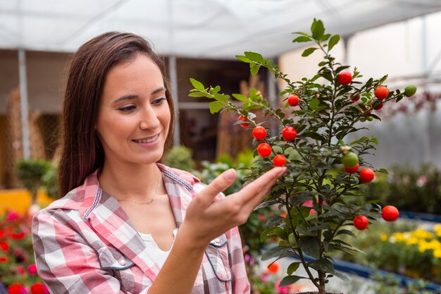 Frau, die Kirschtomaten im Gewächshaus betrachtet