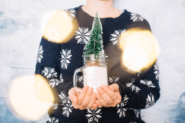 Frau, die kleinen Weihnachtsbaum hält