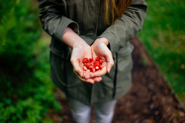 Frau, die mehrere kleine Erdbeeren in ihren Händen hält