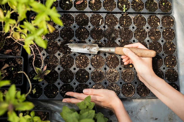 Frau, die mit Garten Throwel im Garten arbeitet