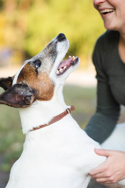 Frau, die mit Hund im Park spielt