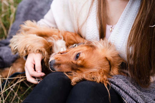 Frau, die mit ihrem netten Hund spielt