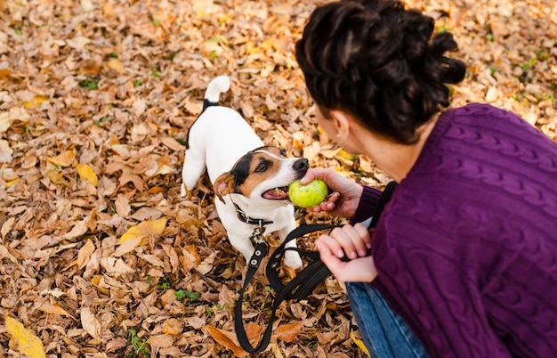 Frau, die mit ihrem netten Hund spielt