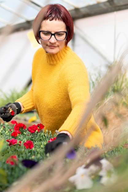 Kostenloses Foto frau, die pflanzen wächst