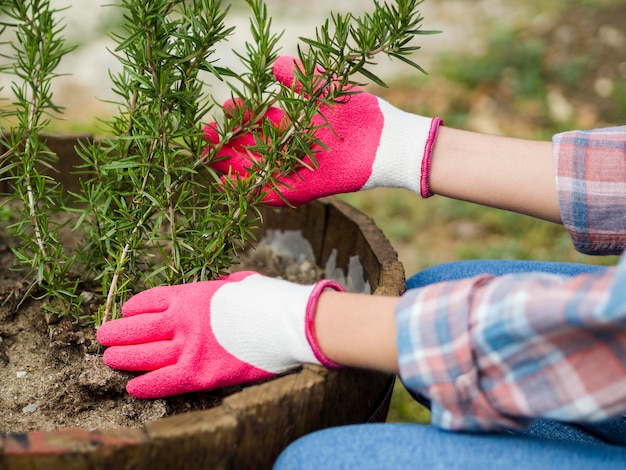 Kostenloses Foto frau, die sich um ihren garten kümmert