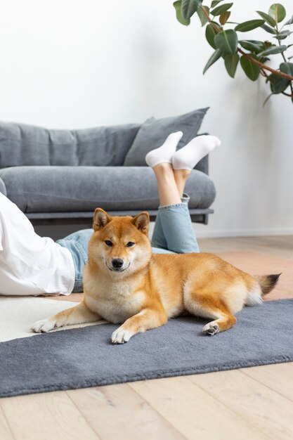 Frau, die versucht, sich neben ihrem Hund zu konzentrieren