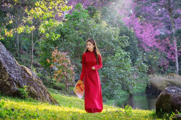 Frau, die Vietnamkultur traditionell im Kirschblütenpark trägt.