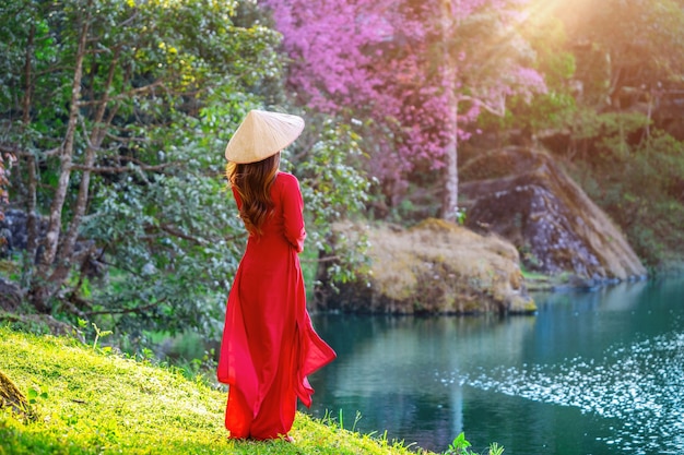 Frau, die Vietnamkultur traditionell im Kirschblütenpark trägt.