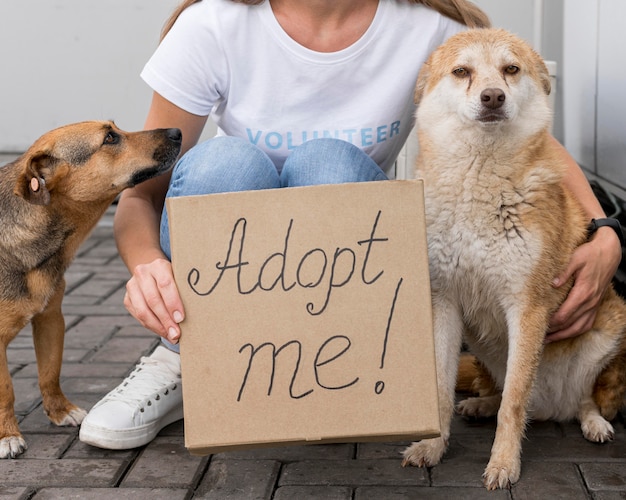 Frau halten adoptieren mich Zeichen, während neben niedlichen Hunden sitzen