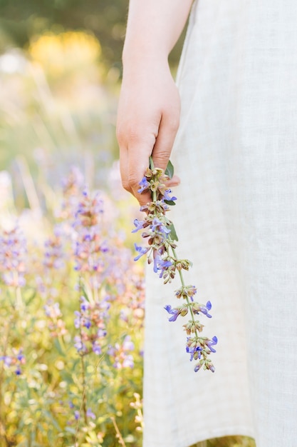 Frau in der Natur, die Blume hält