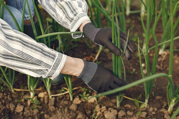 Frau in einem Hut, der in einem Garten arbeitet