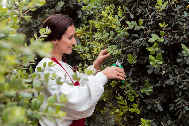 Frau kleidete in der Gartenarbeitkleidung an, die Hecke trimmt