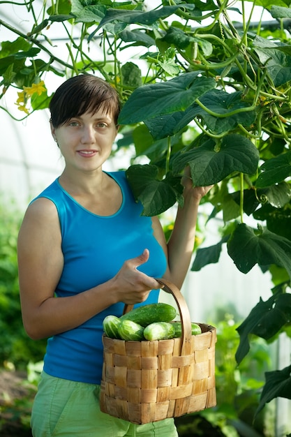 Frau mit geernteten Gurken