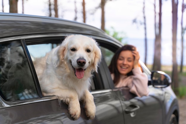 Kostenloses Foto frau mit hund im auto hautnah