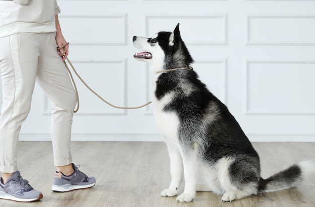 Frau mit Husky