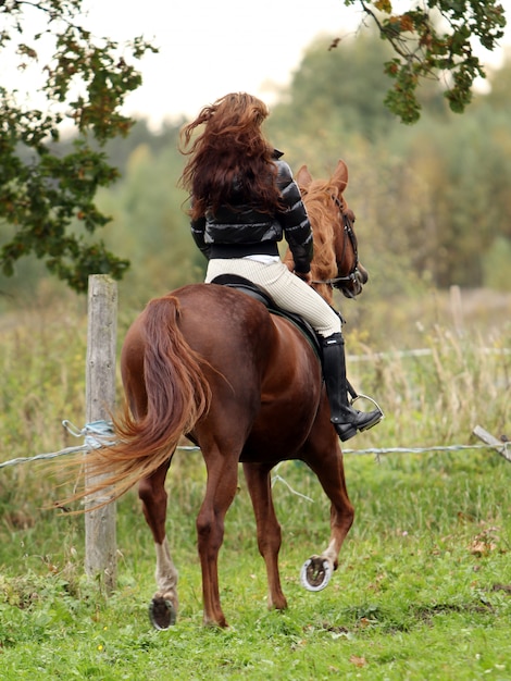 Frau und ihr braunes Pferd