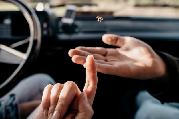 Frau und Mann, die eine kleine Insektennahaufnahme betrachten