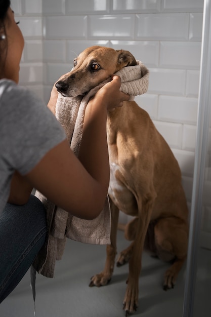 Kostenloses Foto frau wäscht hund seitenansicht