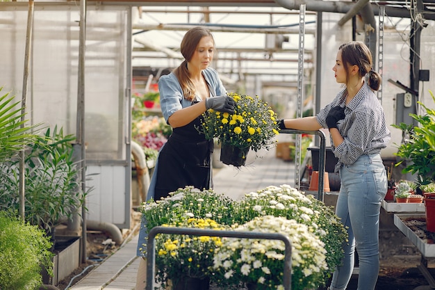 Frauen arbeiten in einem Gewächshaus mit einem Blumentopf